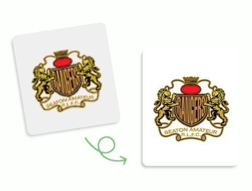 Complex-jpg-to-vector-image